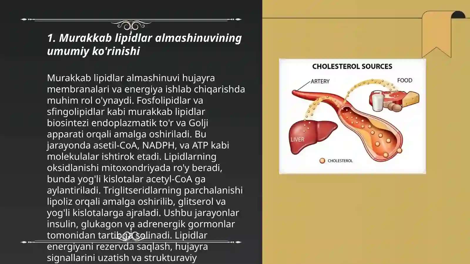 Murakkab lipidlar almashinuvi 3