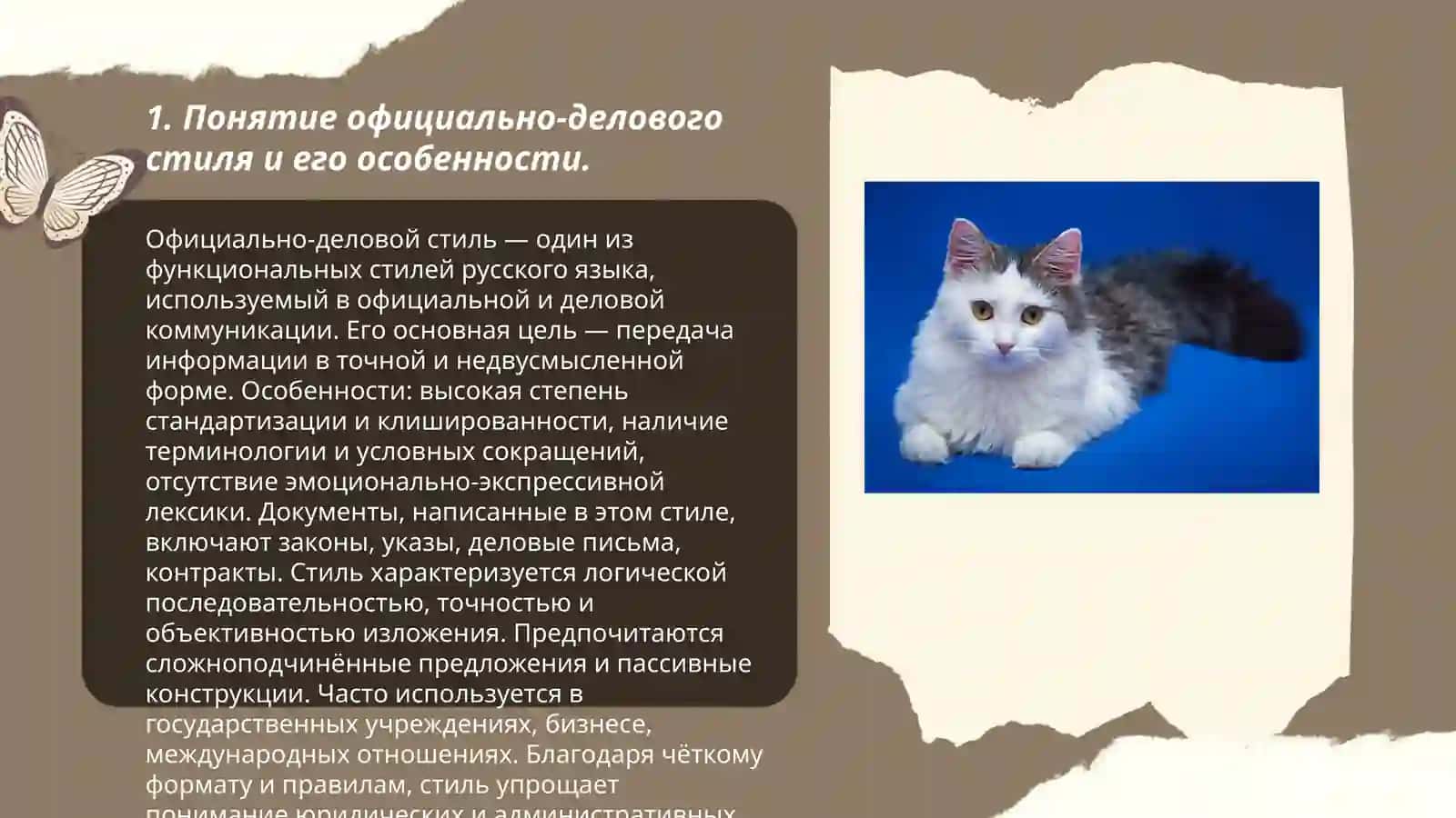 Официально - деловой стиль как функциональная разновидность литературного языка.Правила оформления деловых бумаг 3