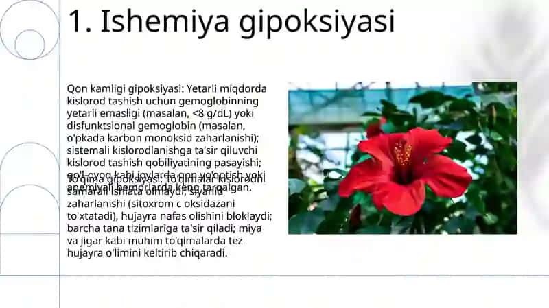Gipoksiya turlari 3