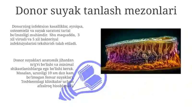 Suyak To'qimasining Regeneratsiyasi 3