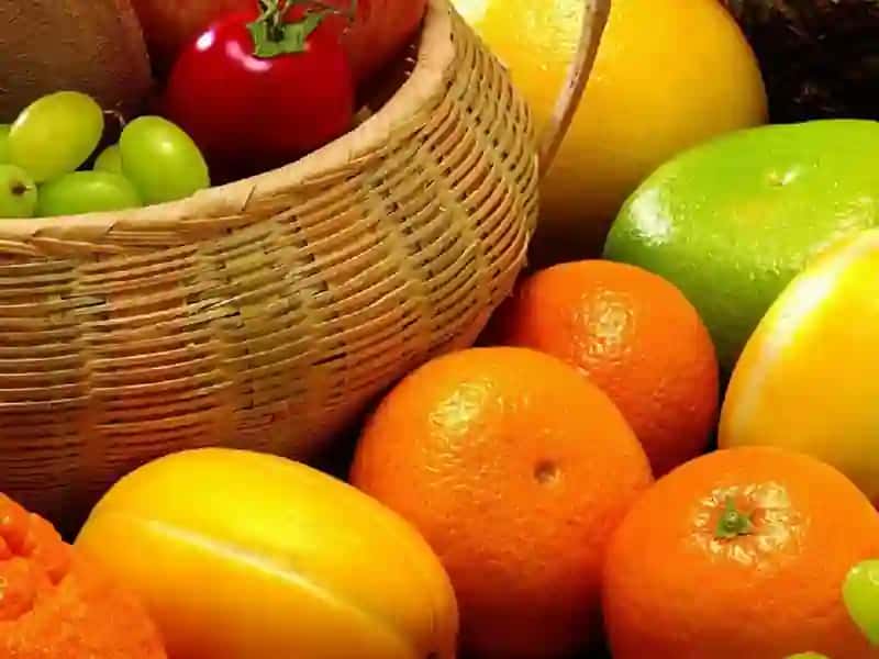 MEVALARNI MEXANIK VA BIOLOGIK TARQALISH USULLARIGA QARAB GURUHLASH VA KO‘RGAZMA QILISH 3