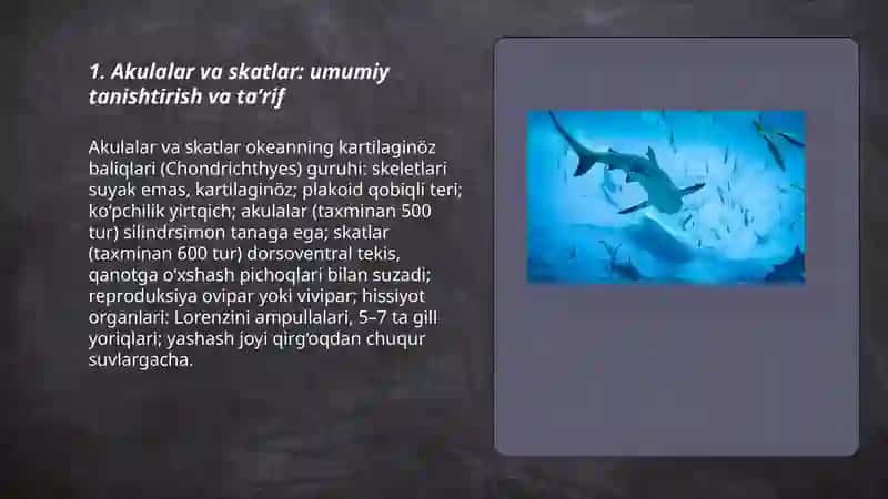 Okean baliqlari- akulalar va skatlar katta guruh vakillari 3
