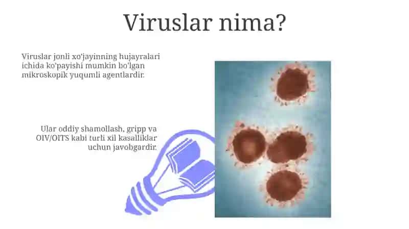 Viruslar va ularning ahamiyati 3