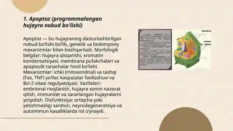 Sitologiya fanidan Mustaqil ta'limi 3