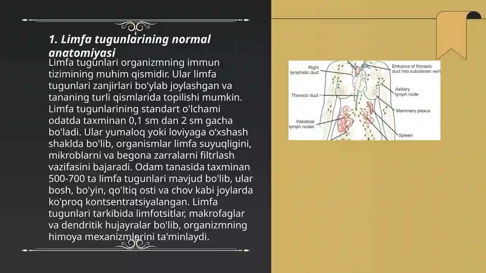 Limfa tugunlarini patologik anatomivasi 3
