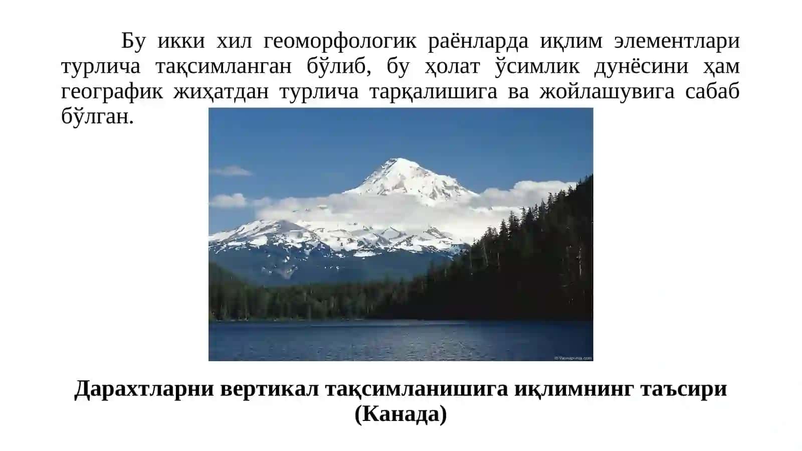 Ўрмонлар ва уларни асосий экологик омиллар билан боғлиқлиги.Ўрмон ва иқлим.Ўрмонни тарқалишида иқлимнинг роли 3