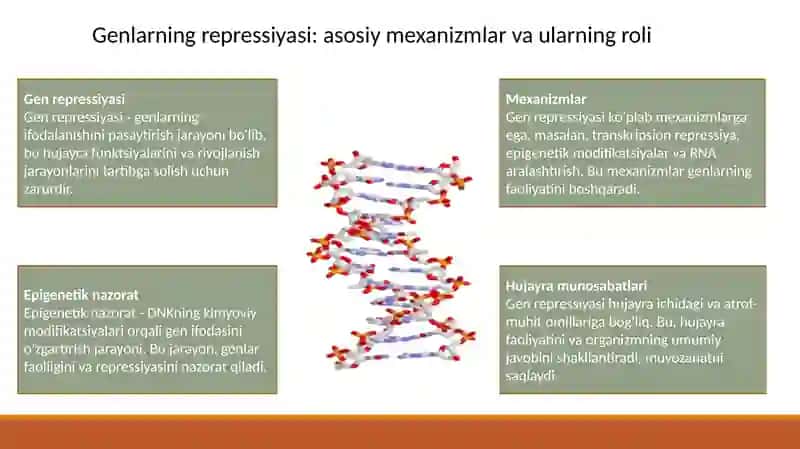 Genlarning repressiyasi 3