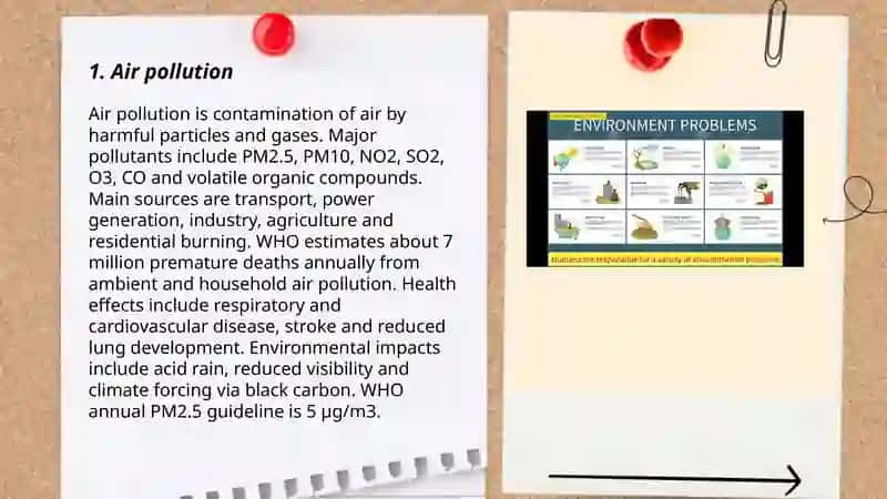 Environmental problems 3