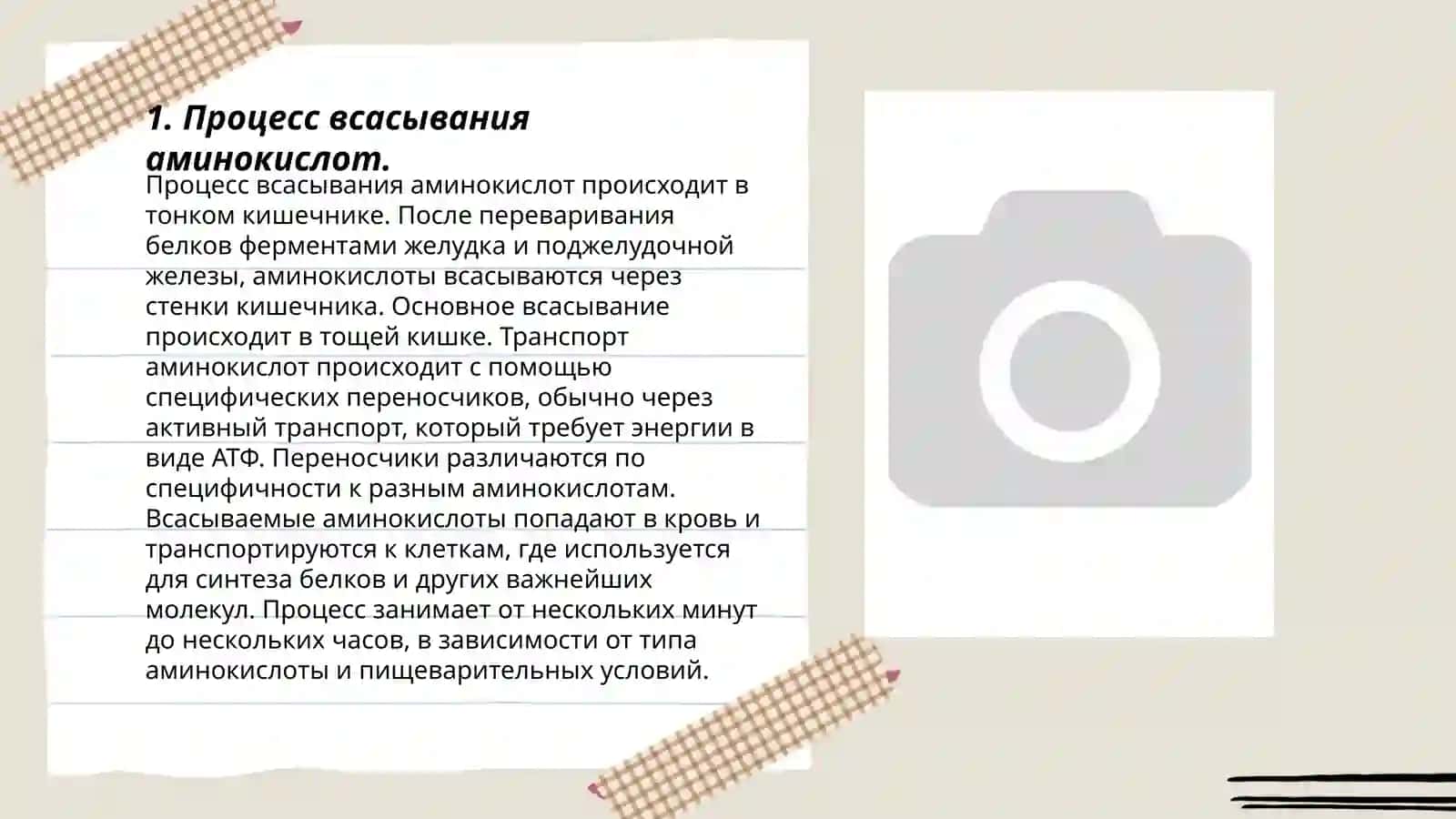 Механизмы всасывания питательных веществ в кровь (Белки, жиры, углеводы, минеральные соли) 3