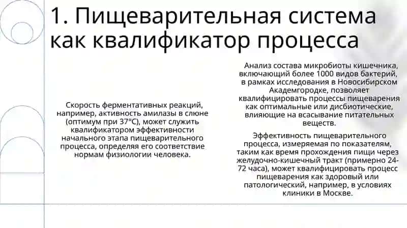 Система пищеварения описание 3