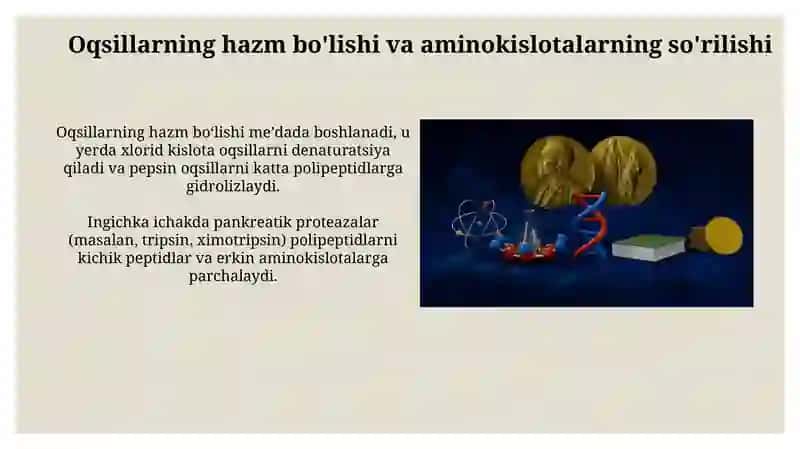 Odam organizimida oqsillarining biokimyoviy o'zgarishi 3