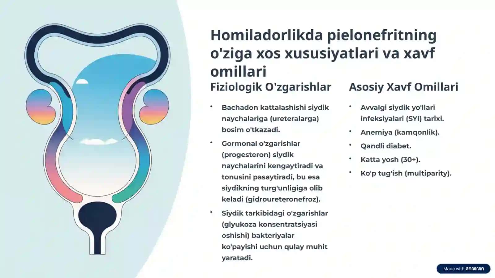 Homiladorlik davridagi pielonefrit: To'liq qo'llanma 3