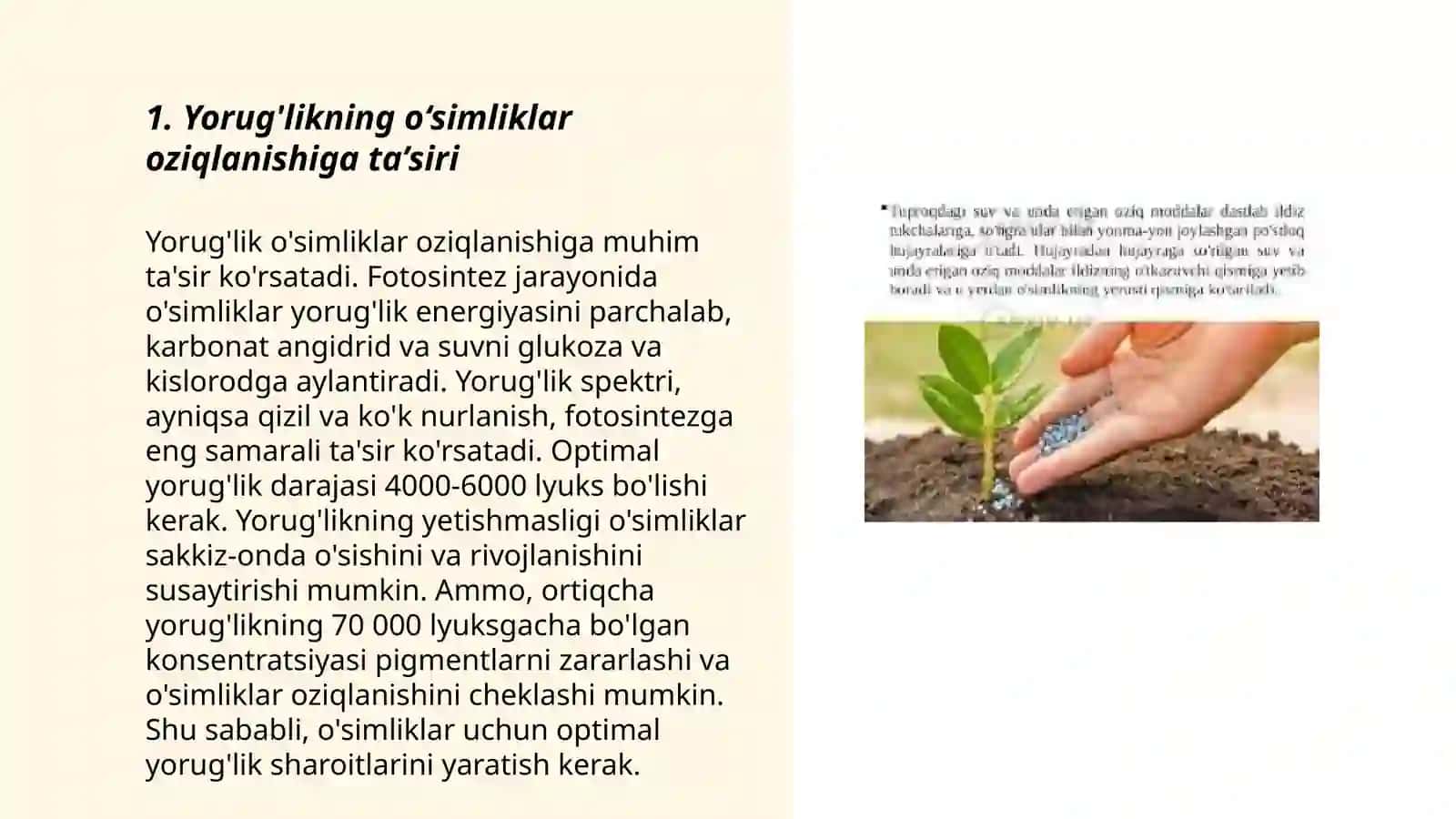 O‘simliklarning oziq moddalarni tashkil etishga tashqi muhit ta’siri 3