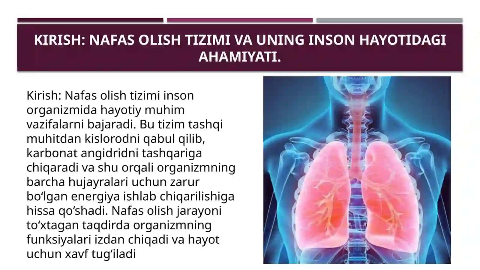 Nafas organlari patologiyasi 3
