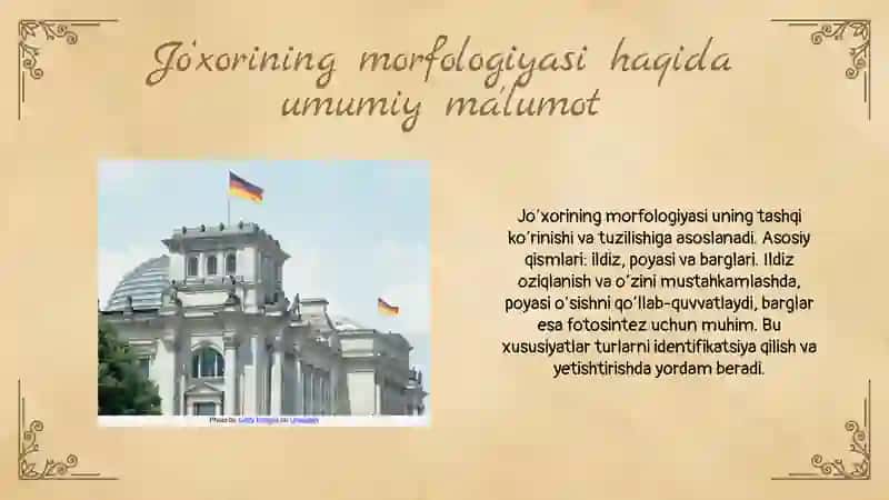 Jo'horining morfologiyasi, biologiyasi va yetishtirish texnologiyasi 3