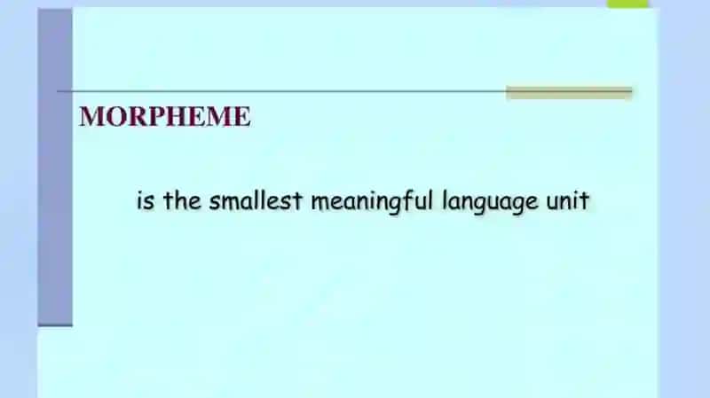 Morphology: The morphemic structure of the English language 3