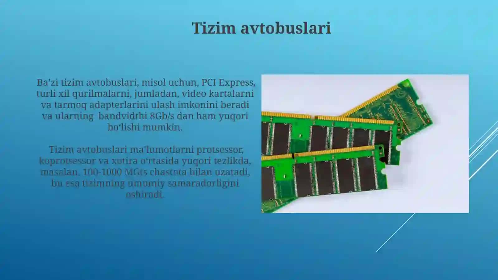 Tizim avtobuslari 3