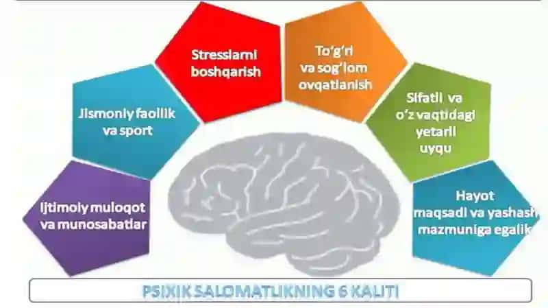MDX davlatlarining sog‘liqni saqlash tizimida psixologik xizmatning o‘ziga xosligi. Evropa davlatlarining sog‘liqni saqlash tizimida psixologik xizmatning o‘ziga xosligi. 3
