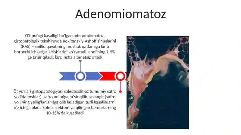 Hid bilish azolari gistalogiyasi 3