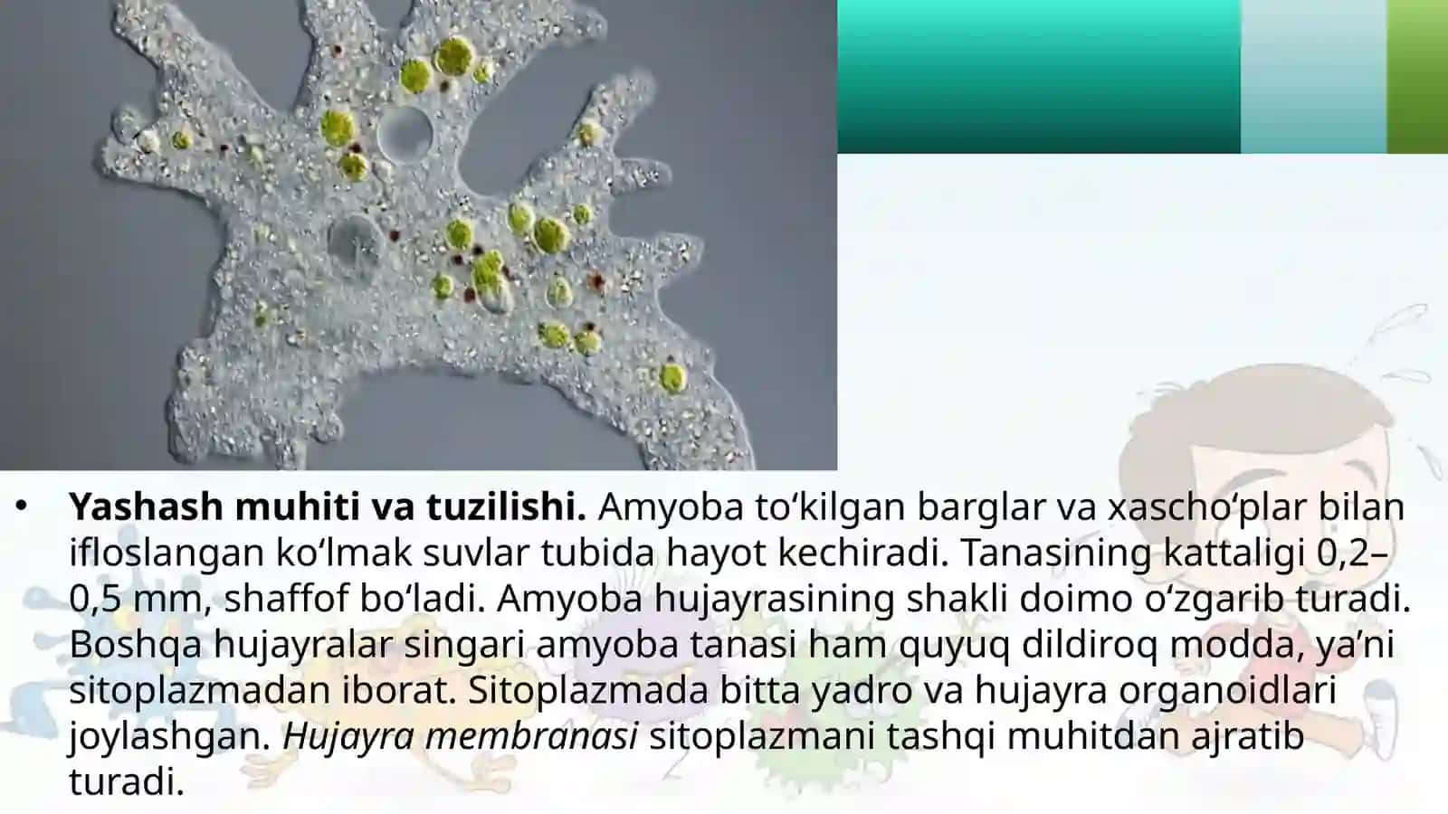 7-sinf Zoologiya 'Soxta oyoqlilar sinfi' ko'rgazma 3