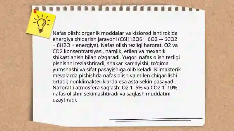 Meva sabzavot mahsulotlarini saqlashdagi ròy beradigan jarayonlar 3