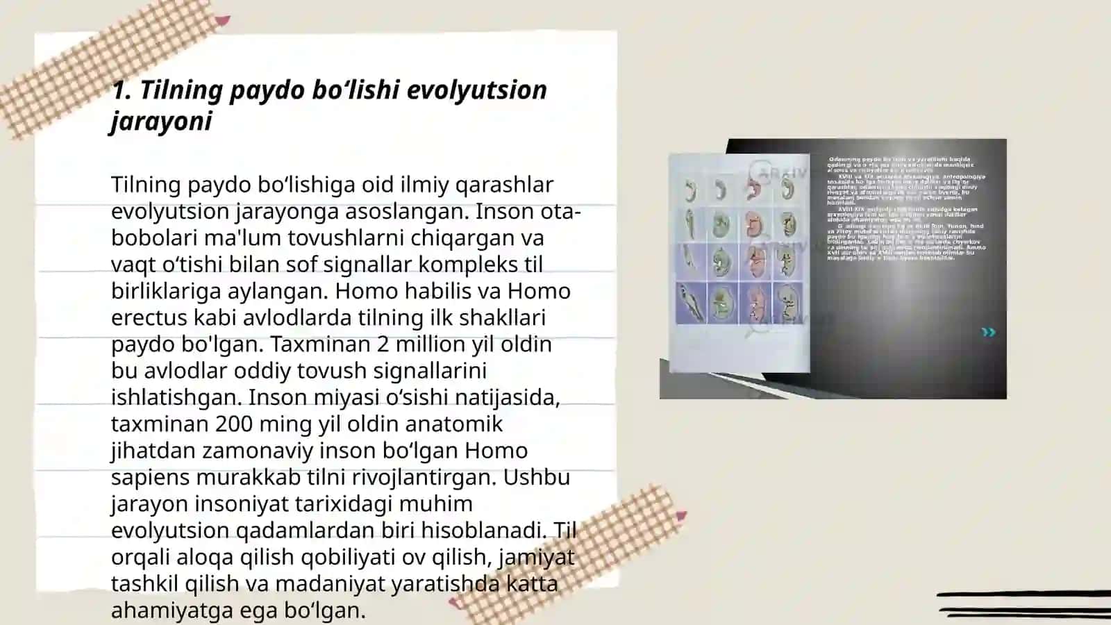 Tilning paydo bo'lishi toʻgʻrisidagi nazariyalar 3