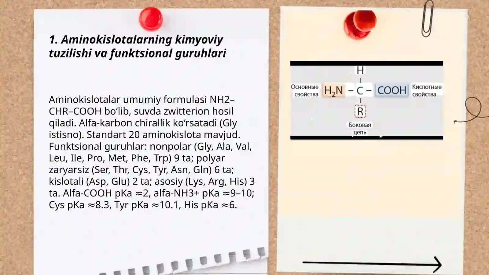 Aminokislotalarning kimyoviy tuzilishi va funktsional guruhlari 3