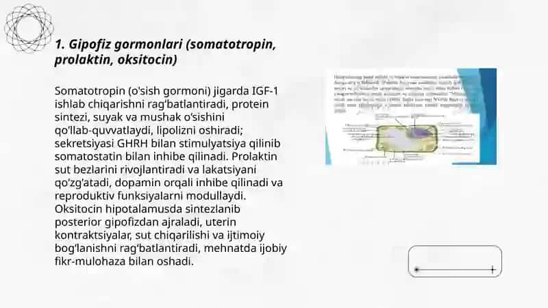Hujayraning yuqori fiziologik faol moddalari 3