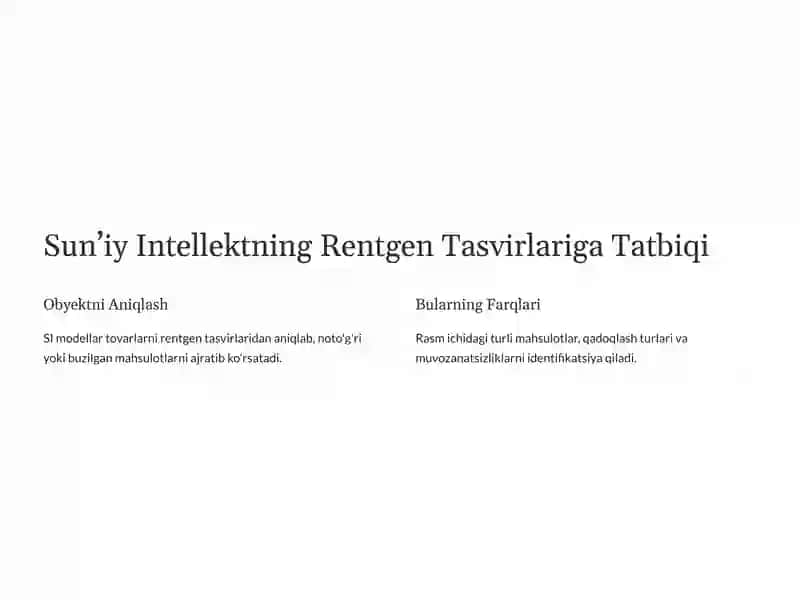 Sun’iy intellekt dasturiy vositalari asosida rentgen uskunalaridan olingan tasvirlardan mahsulotlarni tanib olish dasturini ishlab chiqish 3