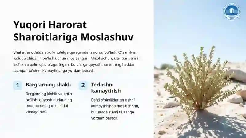 Shahar Sharoitida O'simliklarning Moslashuv Xususiyatlari 3
