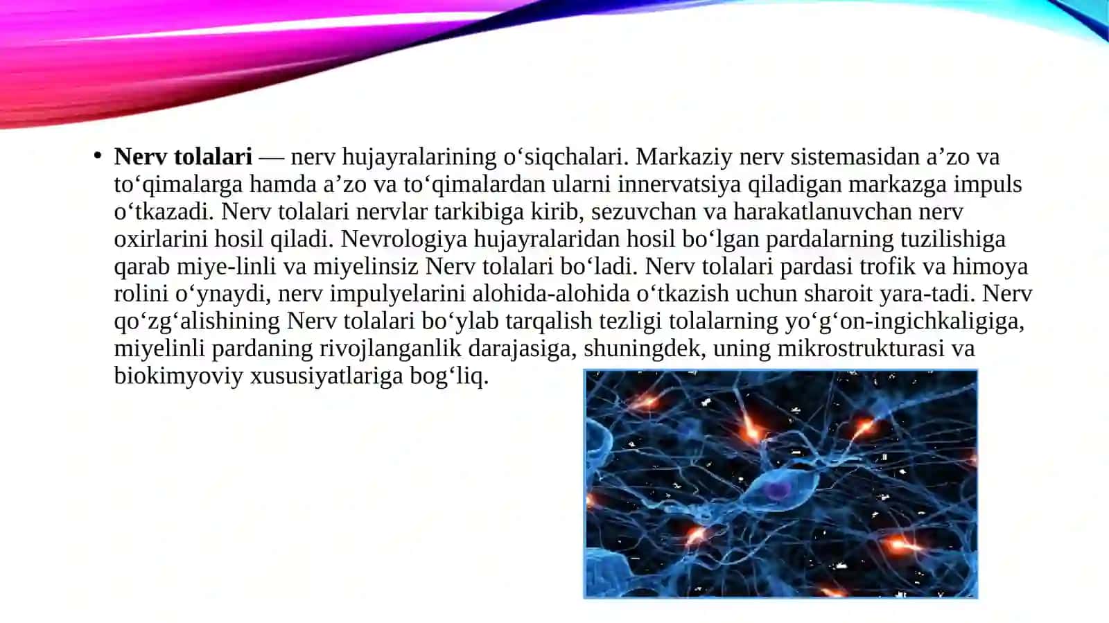 Prezentatsiya 3