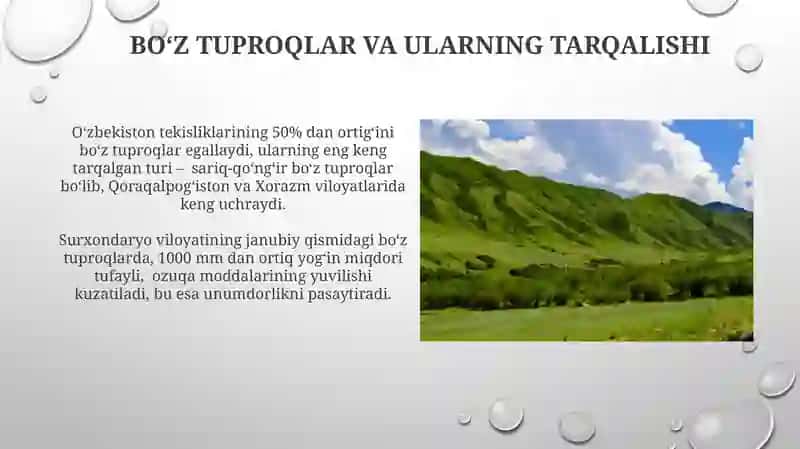 Oʻzbekistonning tekislik mintaqasi tuproqlari geografiyasi va uning muhofaza qilish 3