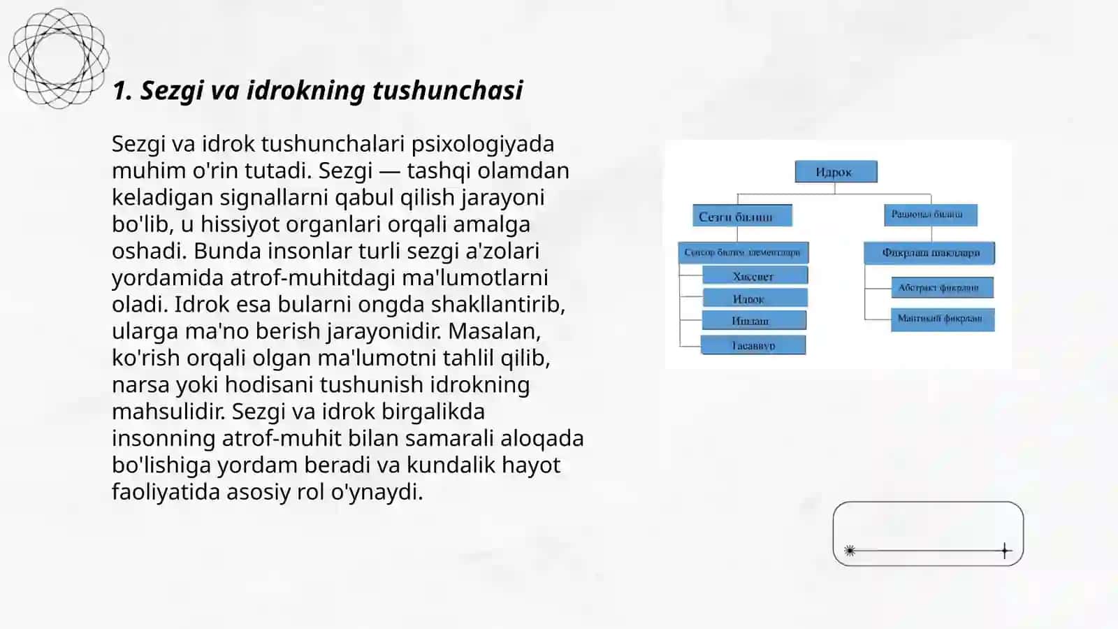 Sezgi va idrok psixik jarayonlarining boshlangʻichi ekanligi 3