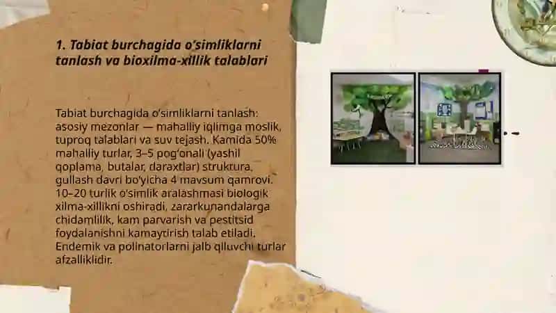 Tabiat burchagida oʻsimlik va hayvonlar va ularning agrotexnikasiga qoʻyilgan talablar 3