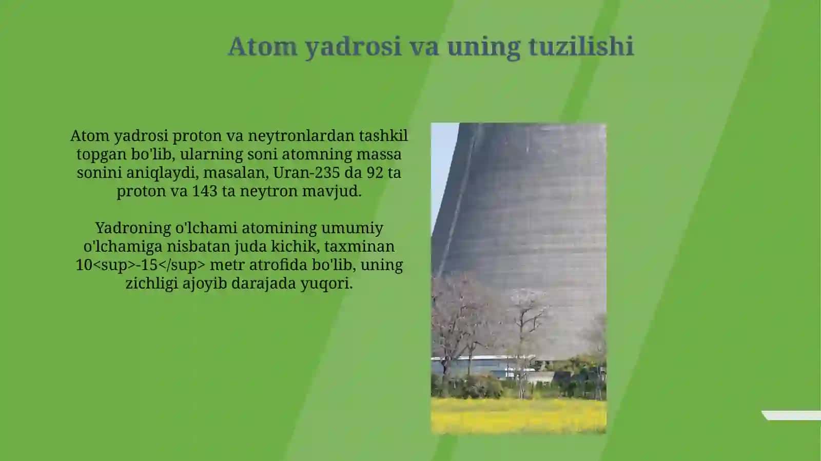 Yadroviy energetika yadro reaktorlari va ularning ishlash printsipi 3