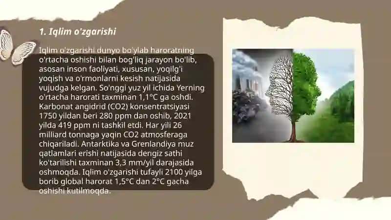 EKALOGIYA VA TABIATNI ASRASH Xolmamatova shoxista 3