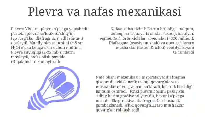 Nafas aʼzolarining tuzulishi 3