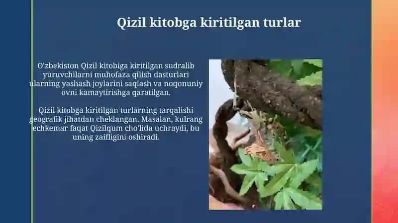 Oʻzbekiston gerpetaunasiga umumiy tavsif faunasi 3