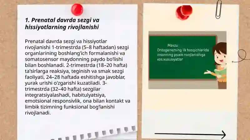 Ontogenezning ilk bosqichlarida insonning psixik rivojlanishiga xos xususiyatlari 3