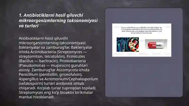 Antibiotiklarni hosil qiluvchi mikroorganizmlar biologiyasi 3