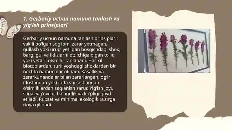 Gerbariy tayyorlash va tayyorlash usullari haqida ma'lumot berish 3