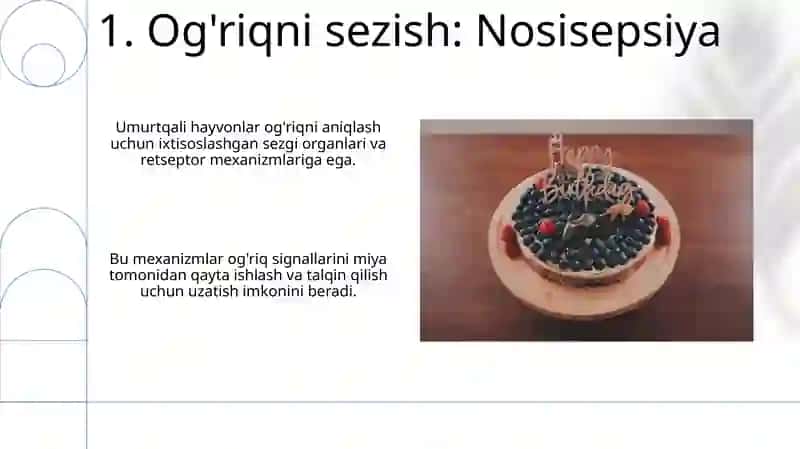 Umurtqali hayvonlar sezgi azolari, sensor(qabul qilish) mexanizimlari 3