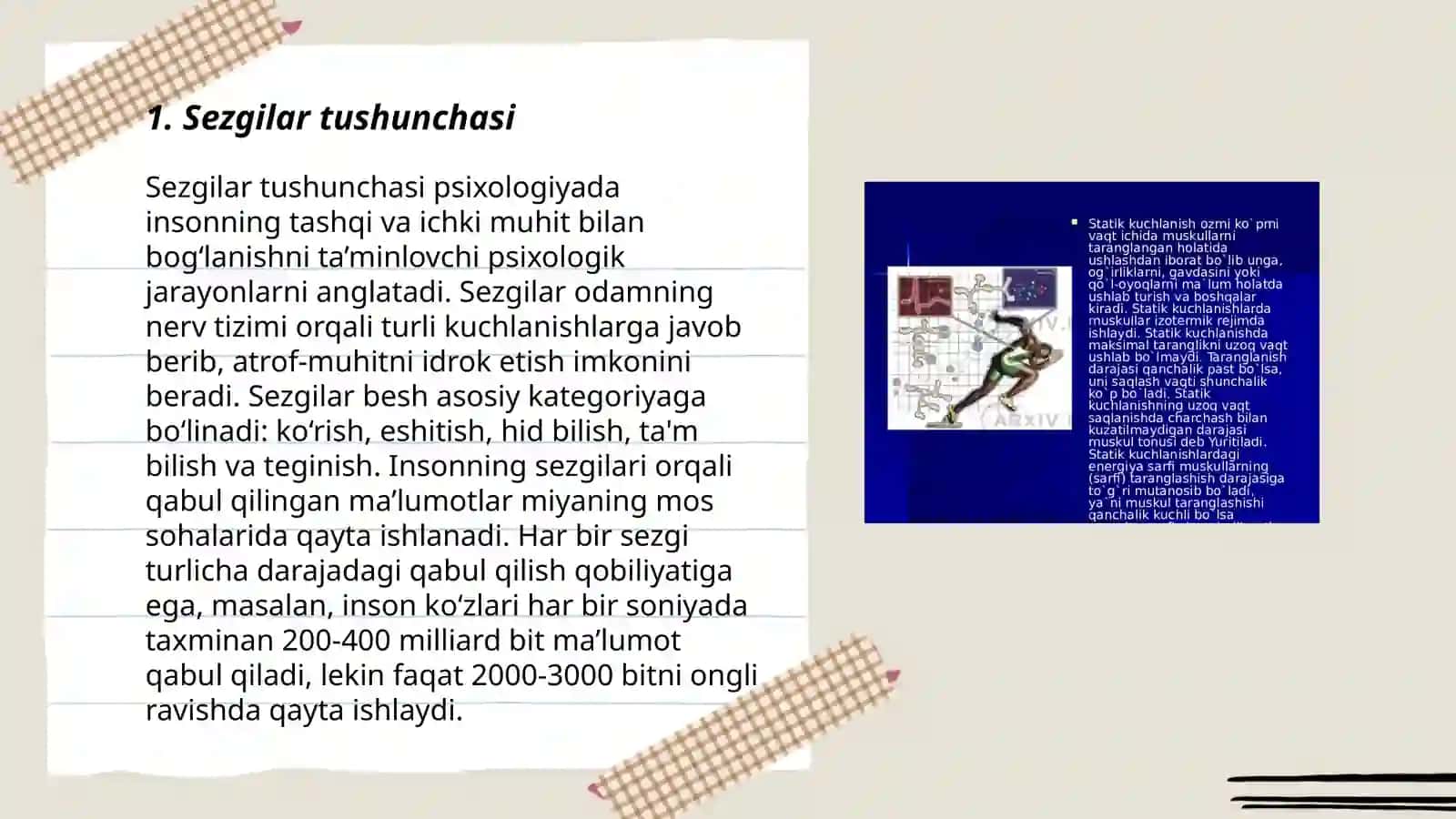 Sezgilar haqida umumiy tushuncha va uning nerv-fiziologik asoslari 3
