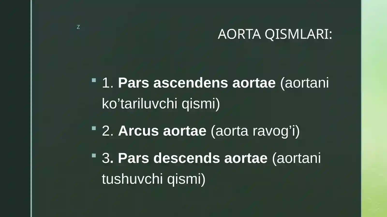 AORTA RAVOG’I, UMUMIY VA TASHQI UYQU ARTERYASI 3