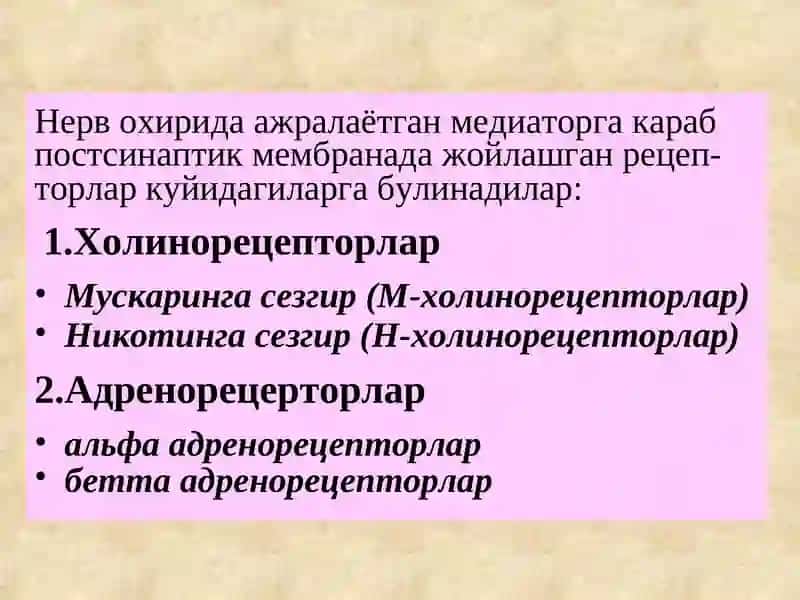 М ва N холиномиметиклар. М ва  N холиноблокаторлар. Антихолинэстераз воситалар 3