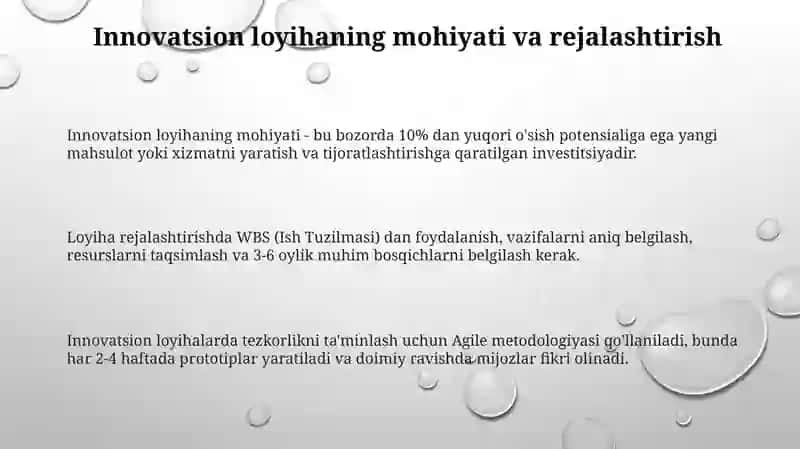 Innovatsion loyihalarni tashkil qilish va boshqarish 3