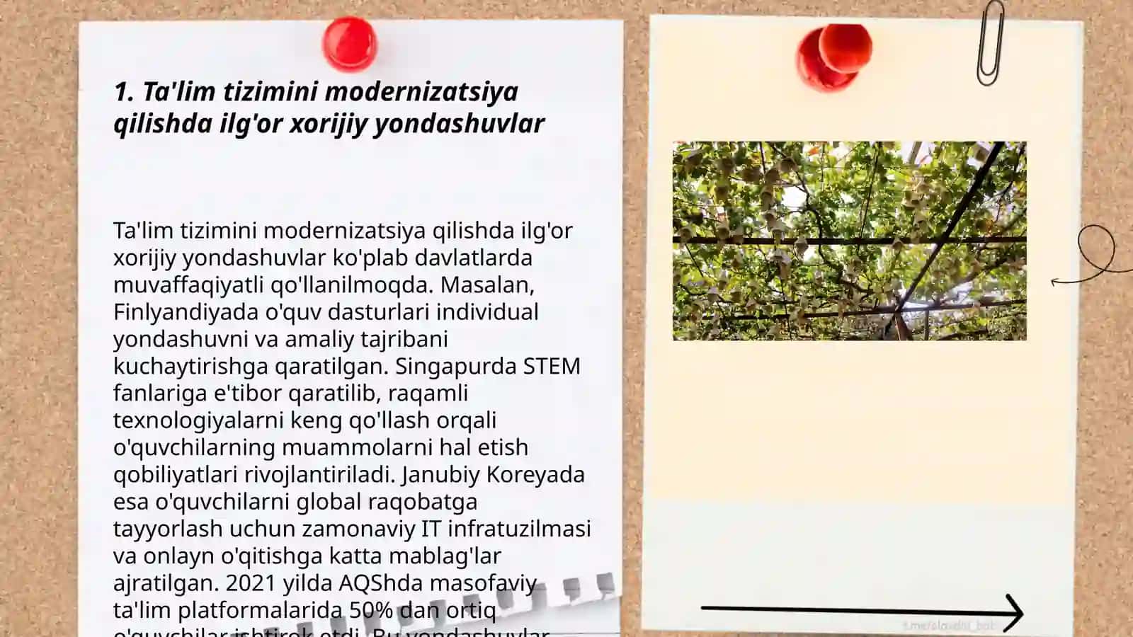 Ta'lim tizimini ilg'or xorijiy tajribalar asosida takomillashtirish 3