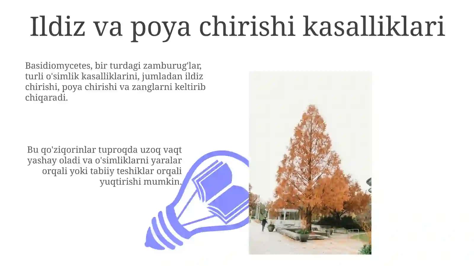 Basidiomitset kasalliklari 3