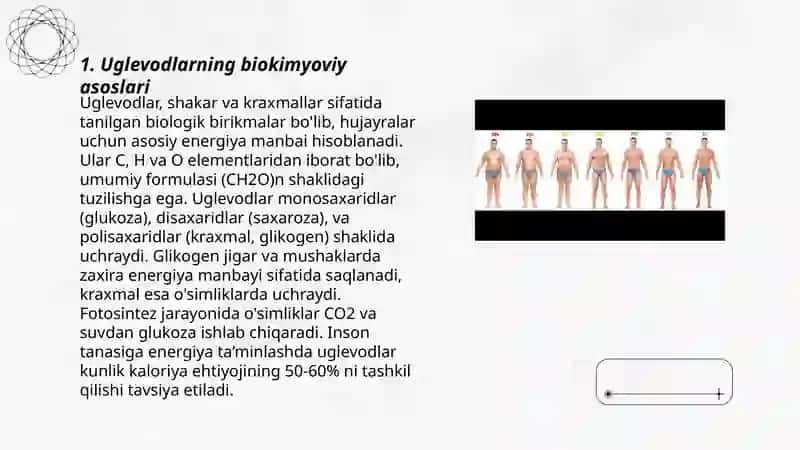 Uglevodlar va odam organizmidagi orni 3