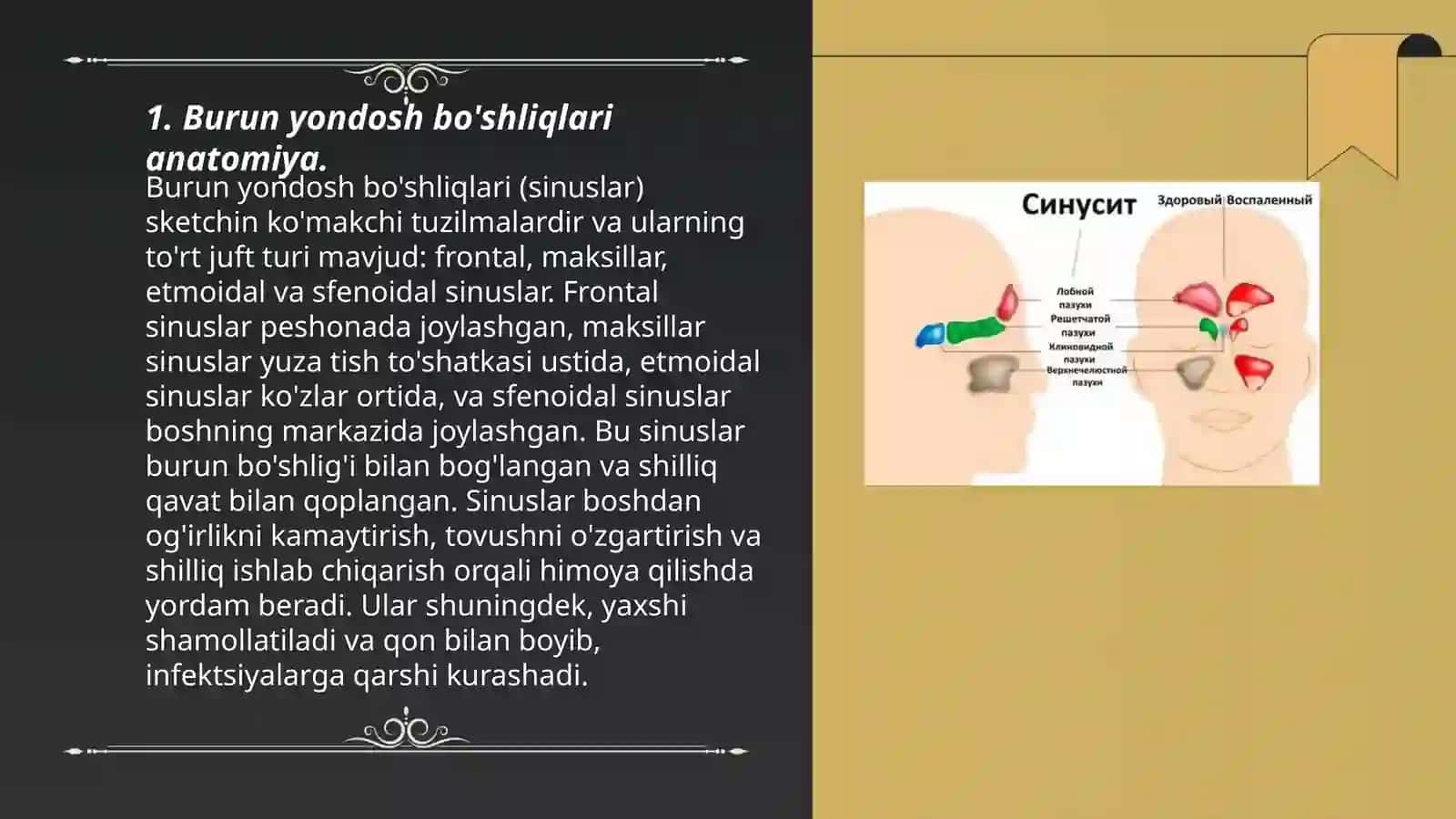 Burun yondosh bo'shliqlari kasalliklarining nur tashxisi 3